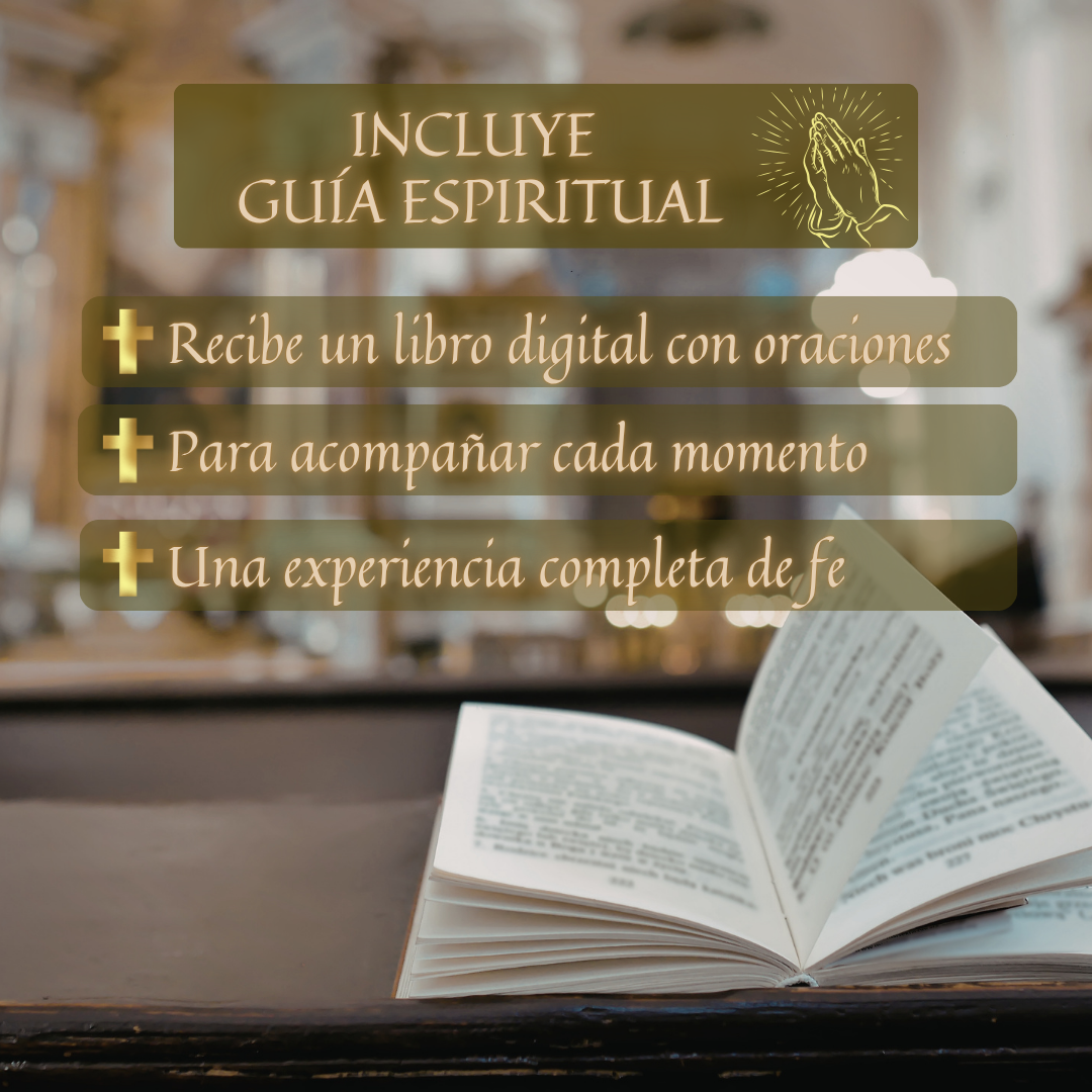 Divina Luz | Lleva la Presencia de Dios a Donde Vayas